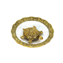 Tortoise with Crystal Clear Plate