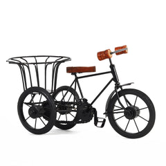 Iron Cycle Rickshaw with Flower Basket