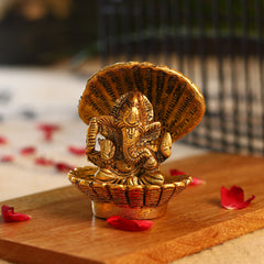 Lord Ganesh in Shell